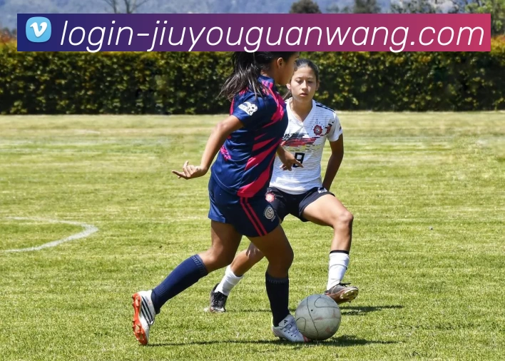 九游官网APP 封面图